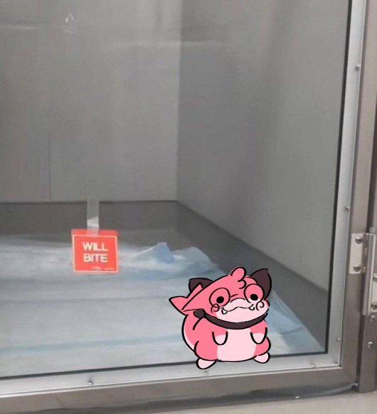 cheri 🍫🍓🦈 tweet media