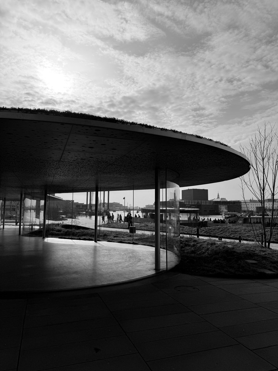 yang you tweet media