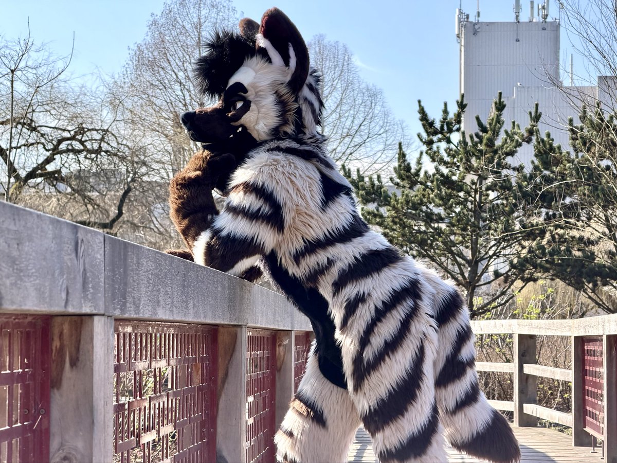 Damon Yeen 🥩 tweet media