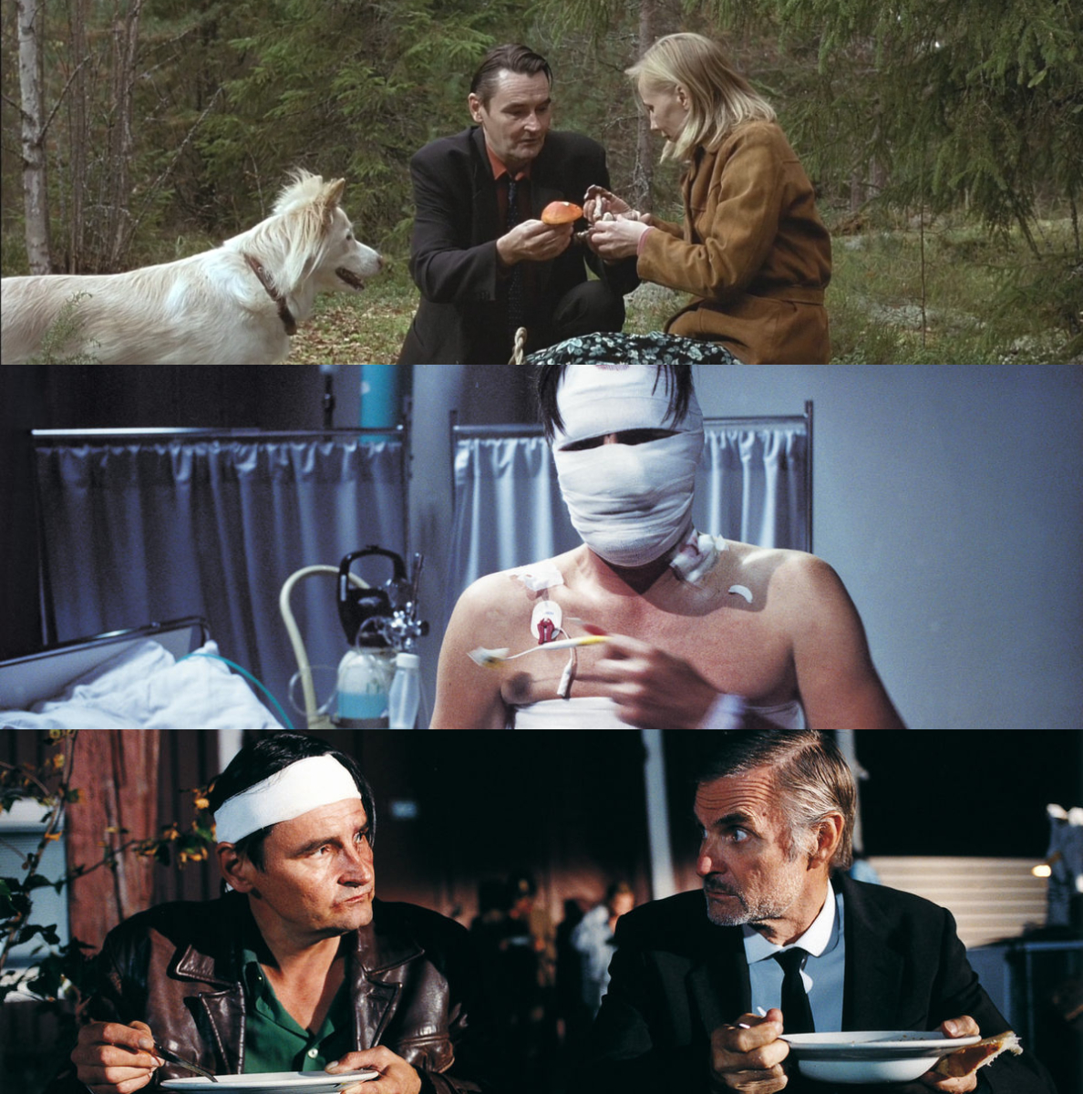 Cineteca Nacional tweet media