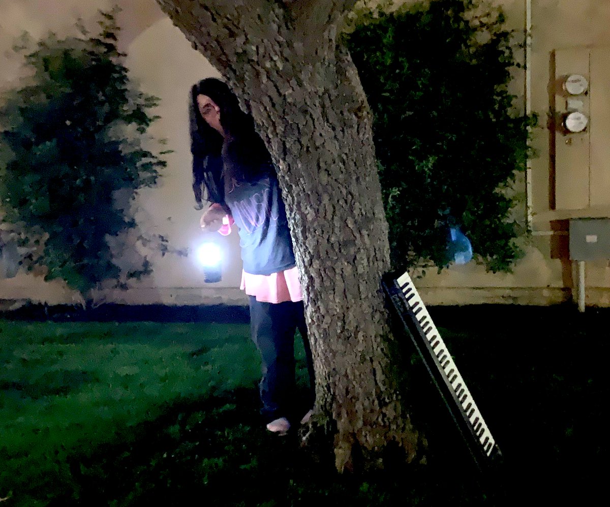 ✨beeswithchainsaws💛 tweet media