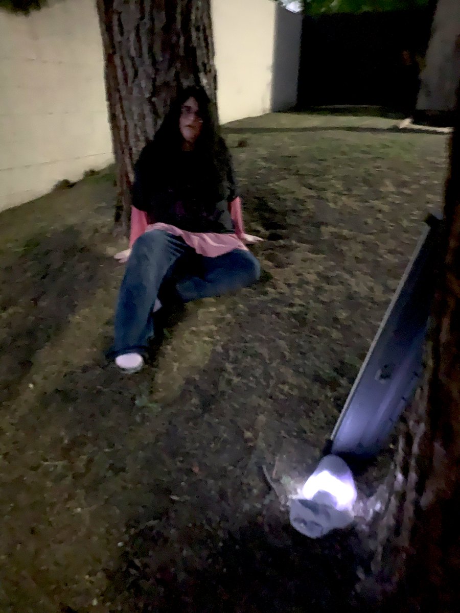 ✨beeswithchainsaws💛 tweet media