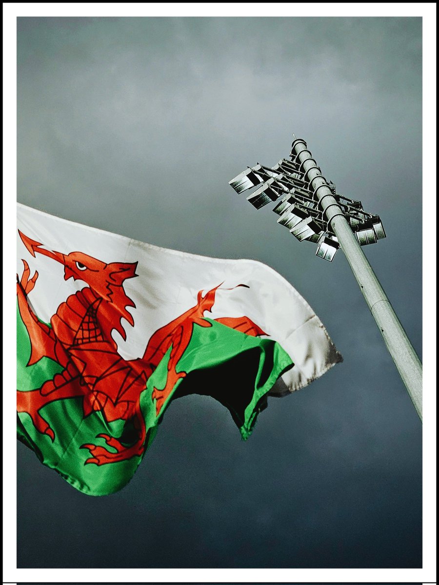 Bryn's Barn tweet media