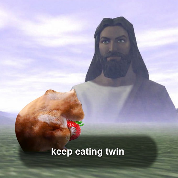 nomnom_solana's tweet photo. Still hungry 🐹 $nomnom https://t.co/3GSFguYg3a