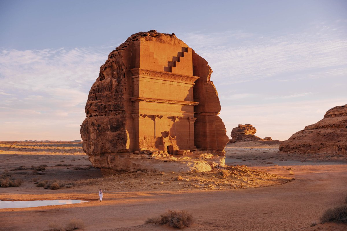 The Surfer's Journal tweet media