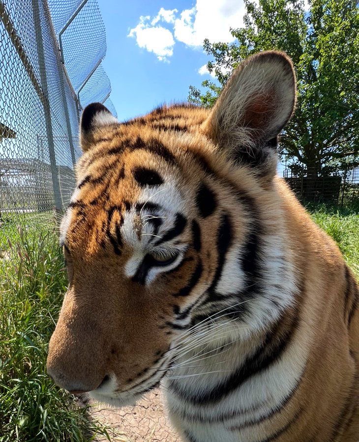 Your swag dude… it’s off the charts