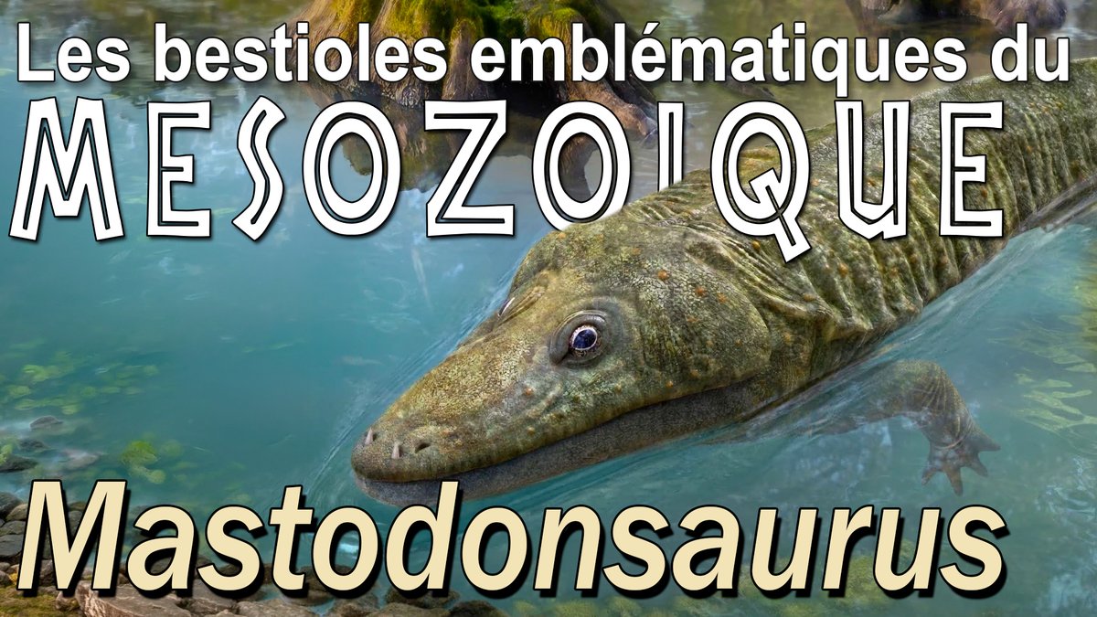 Simplex Paléo tweet media