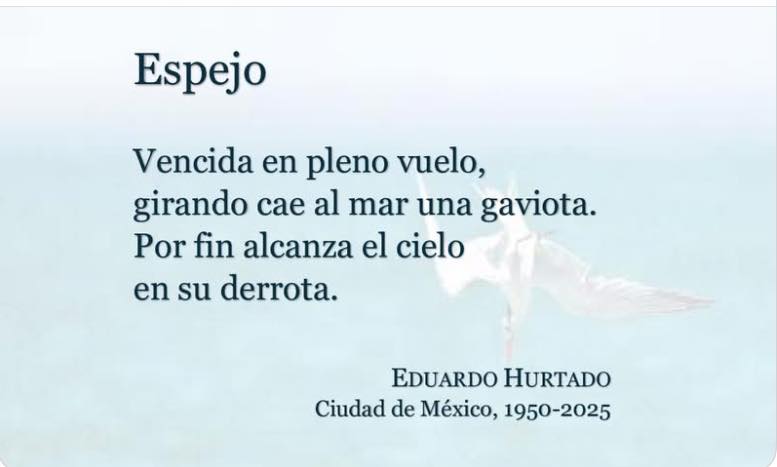 Eduardo Hurtado Montalvo.