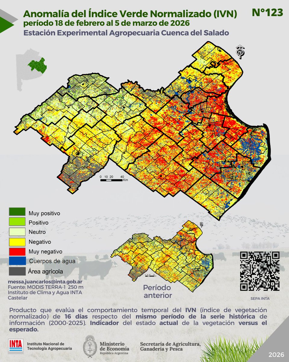 Carlos Messa tweet media