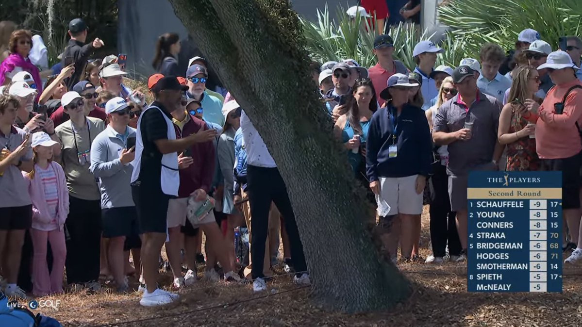 Dylan Dethier tweet media