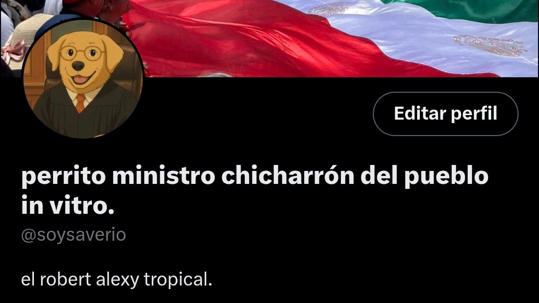 perrito ministro chicharrón del pueblo in vitro. tweet media