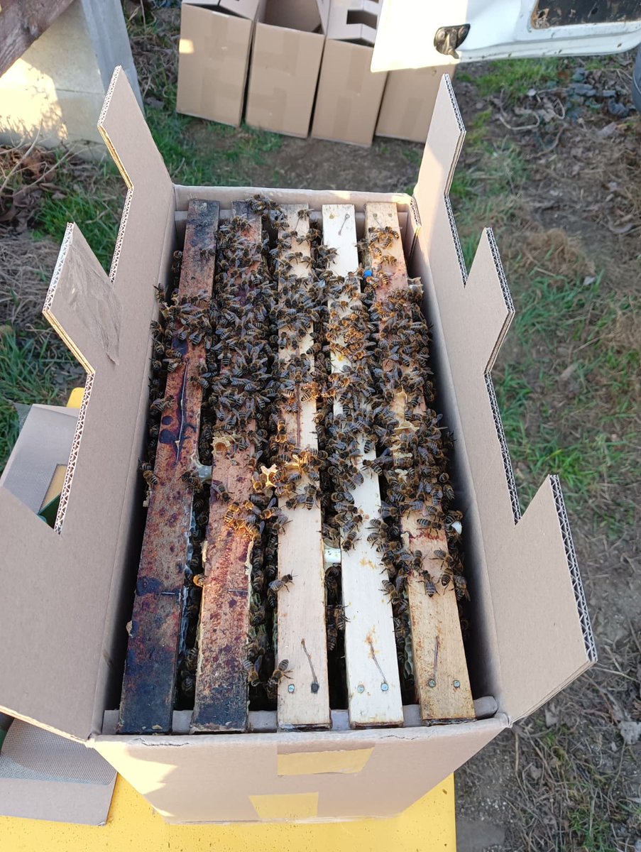 Včelař tweet media