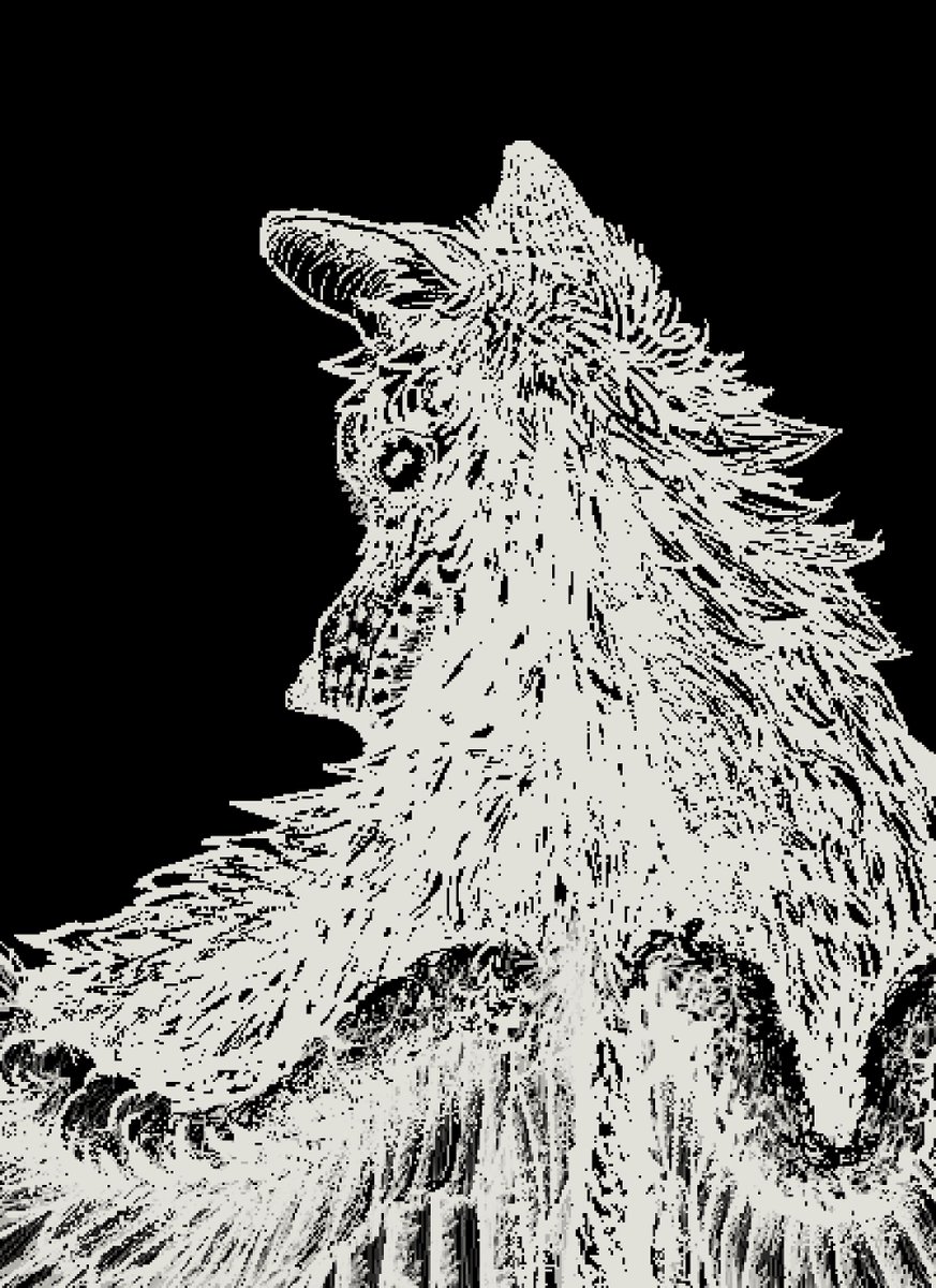 𝕱𝖗𝖆𝖓𝖉𝖔𝖌 𝔹𝕝𝕦𝕖 tweet media