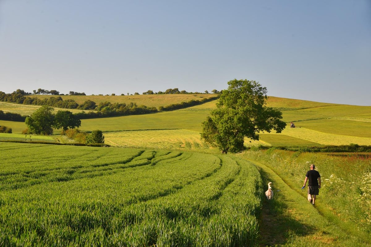 Market Rasen Mail tweet media