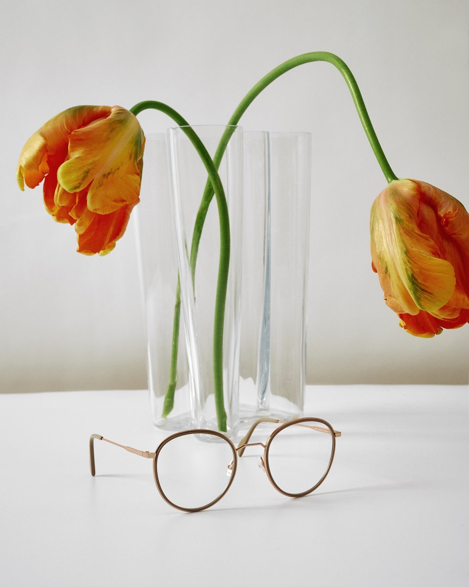 The Optician 😎 tweet media