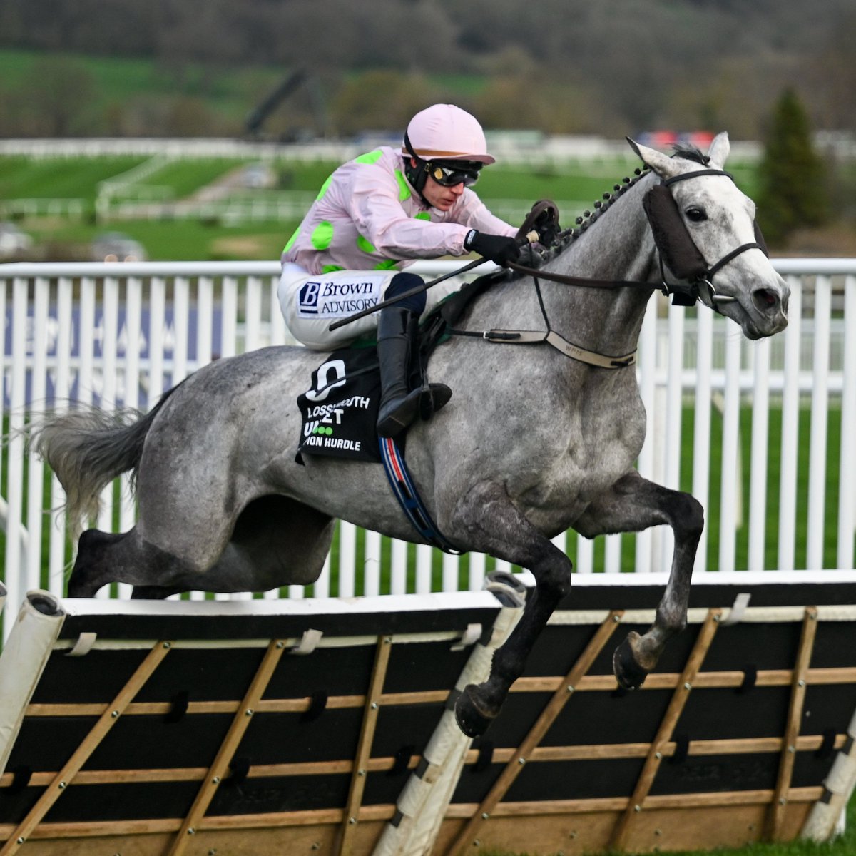 Racing Post tweet media