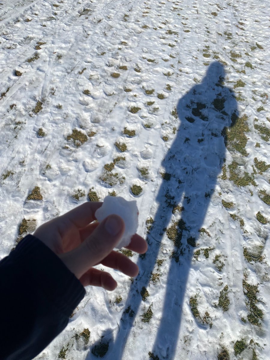 cold 🥑 tweet media