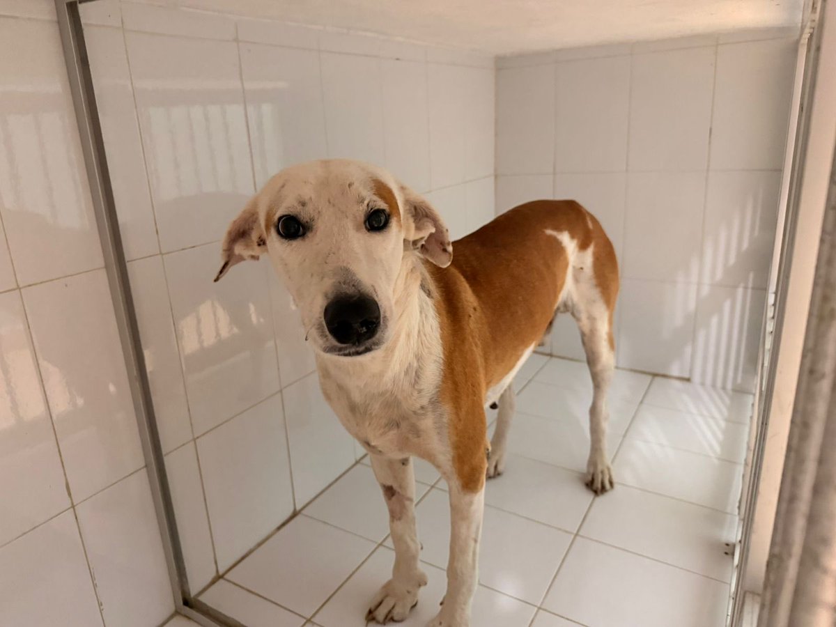 Kamilla Mihalik tweet media