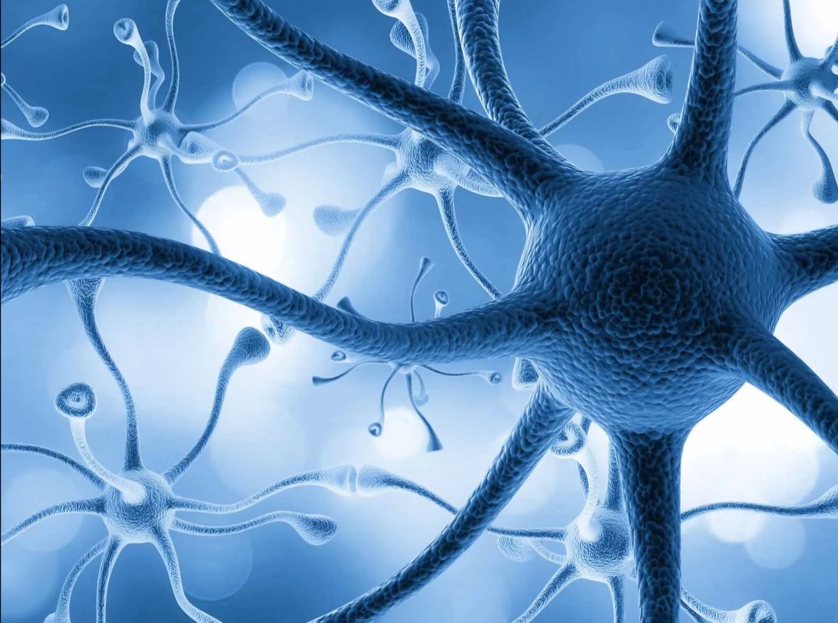 John Pascarella tweet media