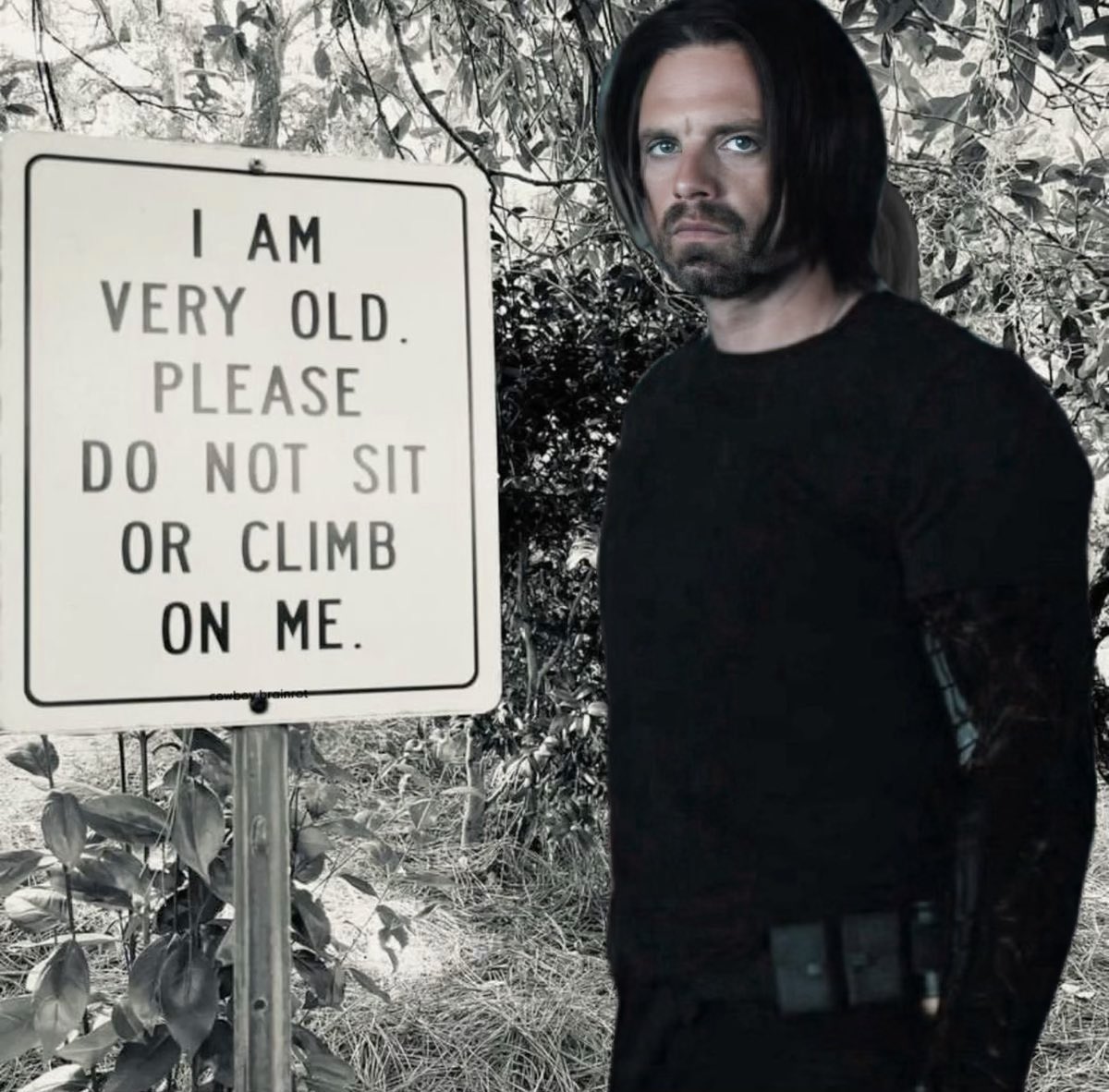 𝘽𝙪𝙘𝙠𝙮 𝘽𝙖𝙧𝙣𝙚𝙨 ~ Parody ~ (@corruptedsgt107) on Twitter photo 