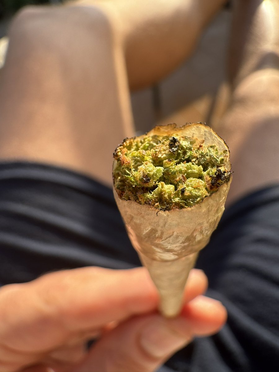 Joe 🟠 tweet media