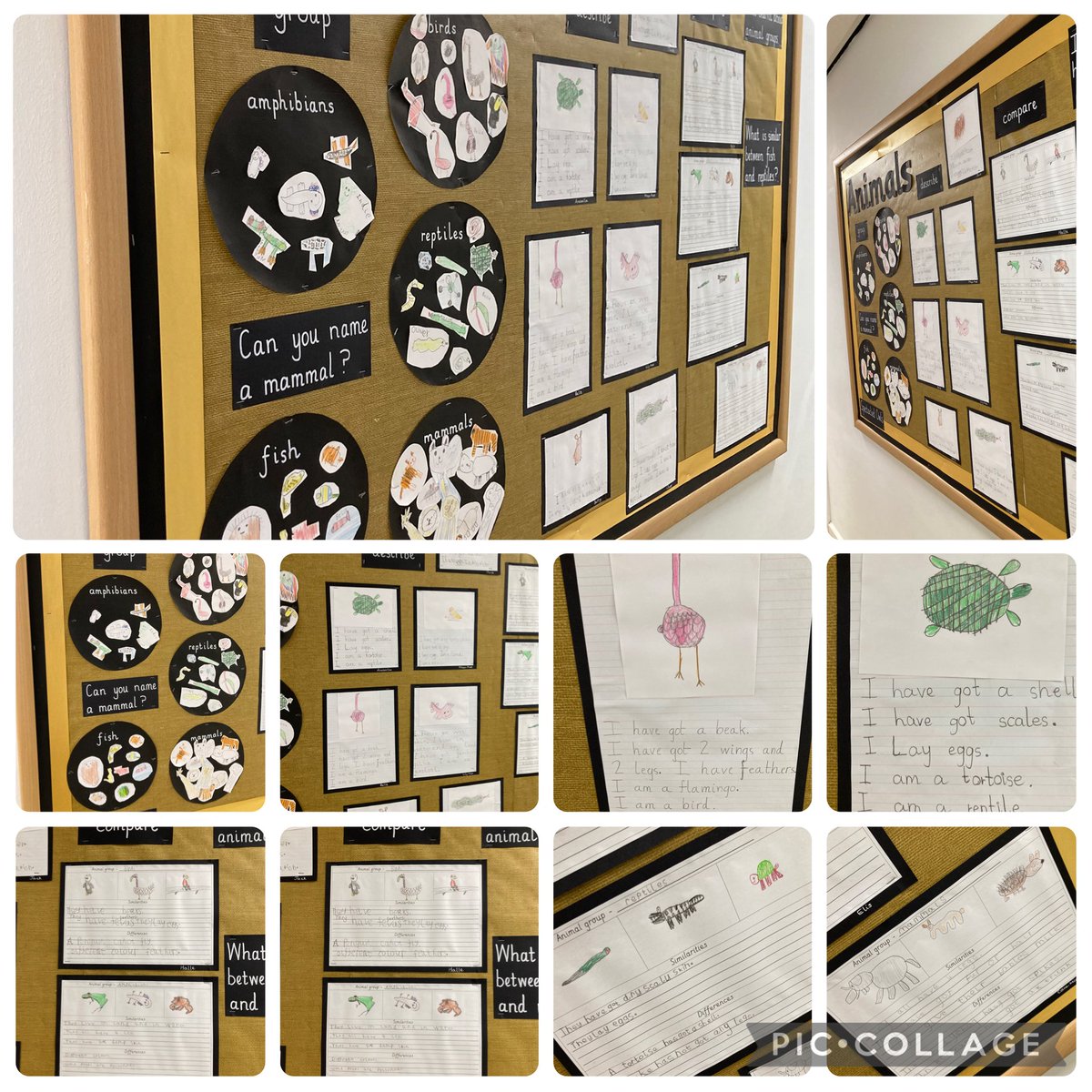 CrowlePrimary tweet media