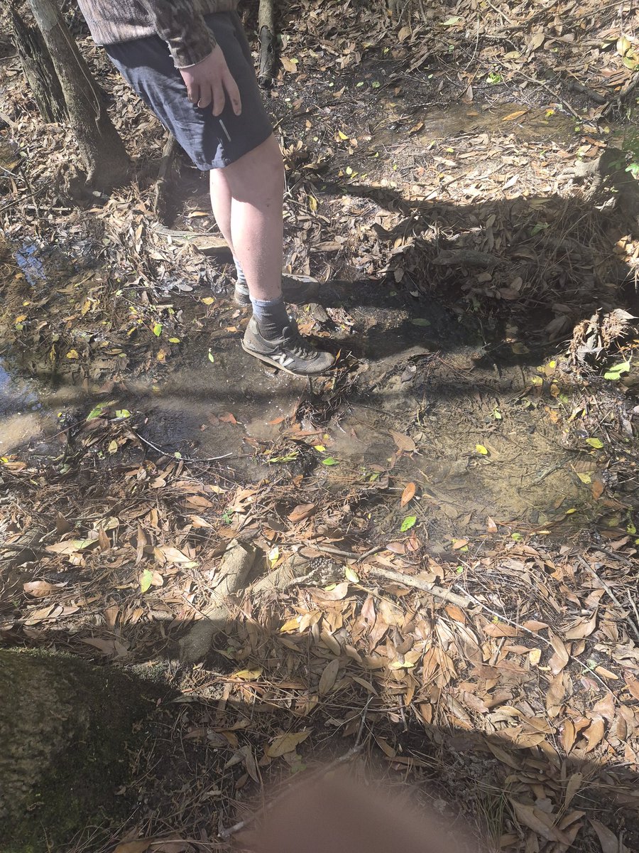 Friday creek walking