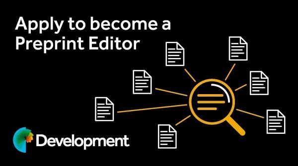 Development tweet media