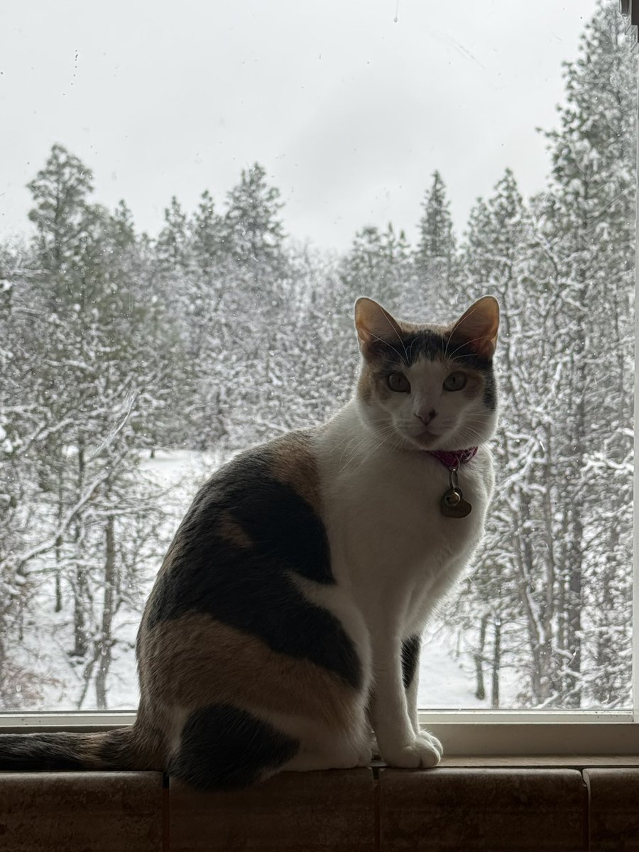 𝓡𝓮𝓲𝓢𝓽𝓪𝓻 🧵 ⭐ | Solar Stars tweet media