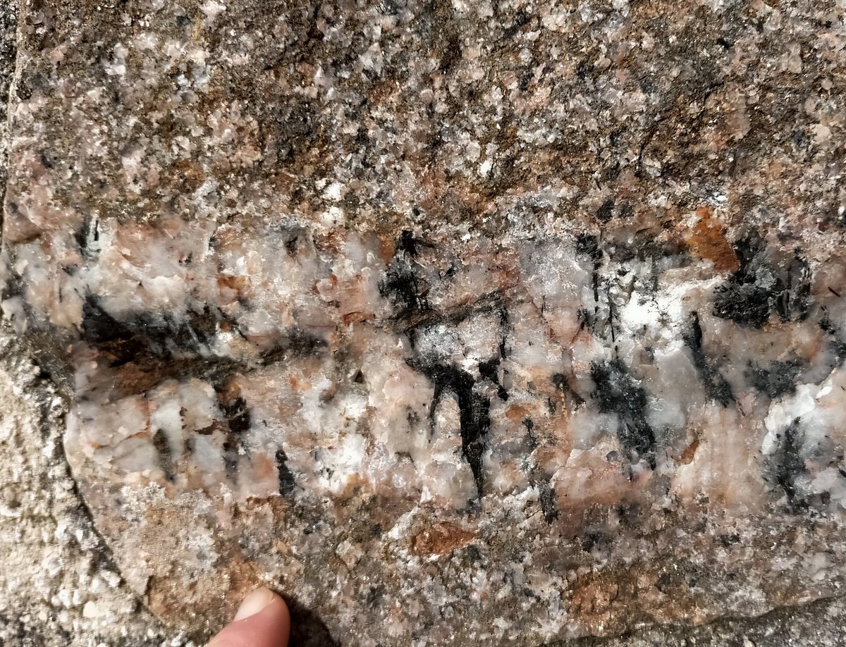 Tim Webster tweet media