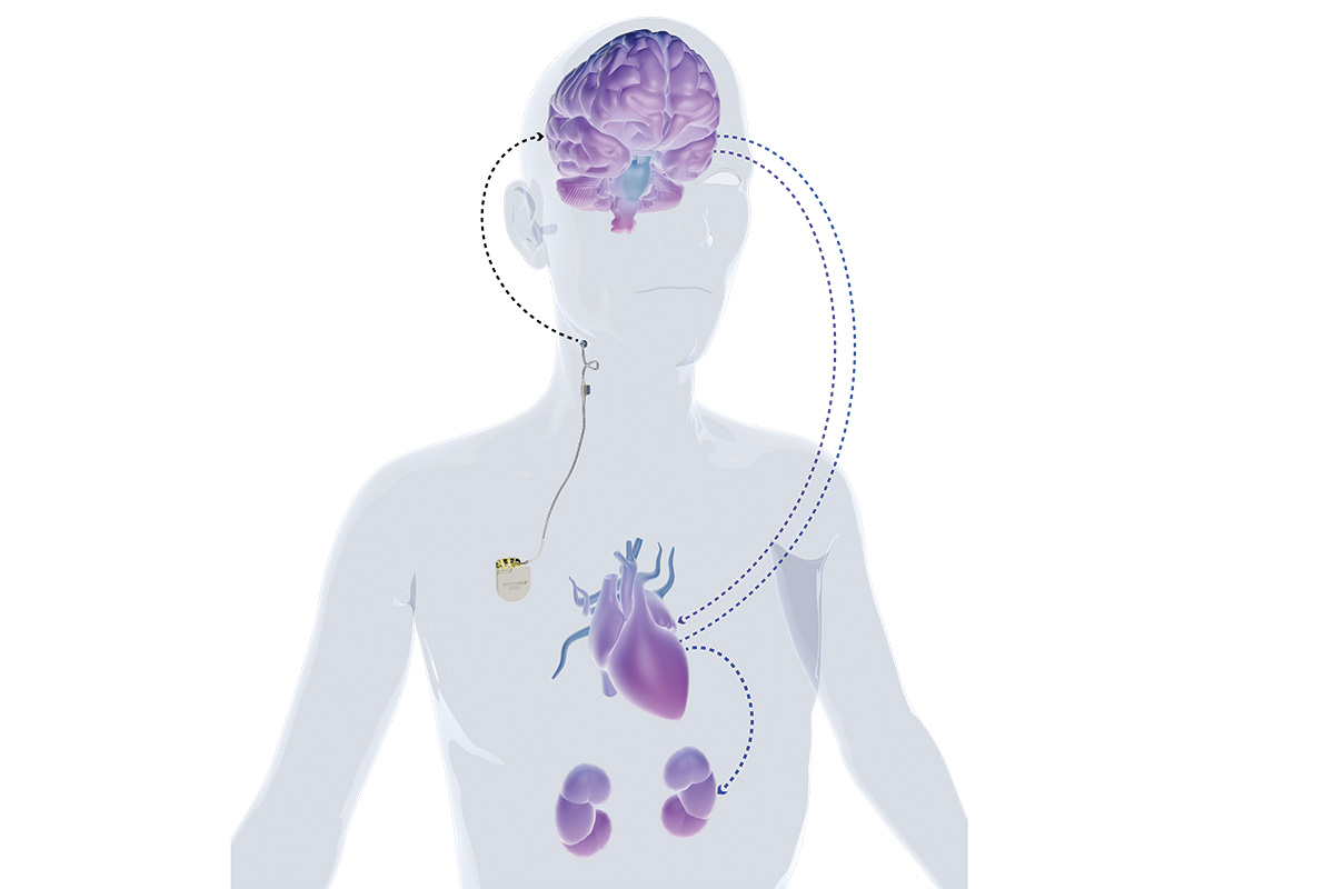 Florida Trend tweet media