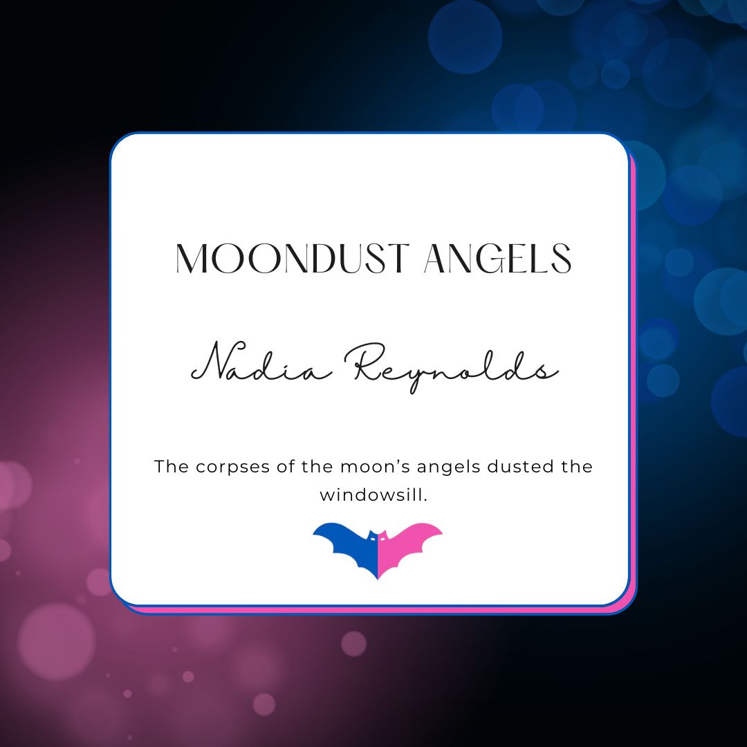 Crepuscular tweet media