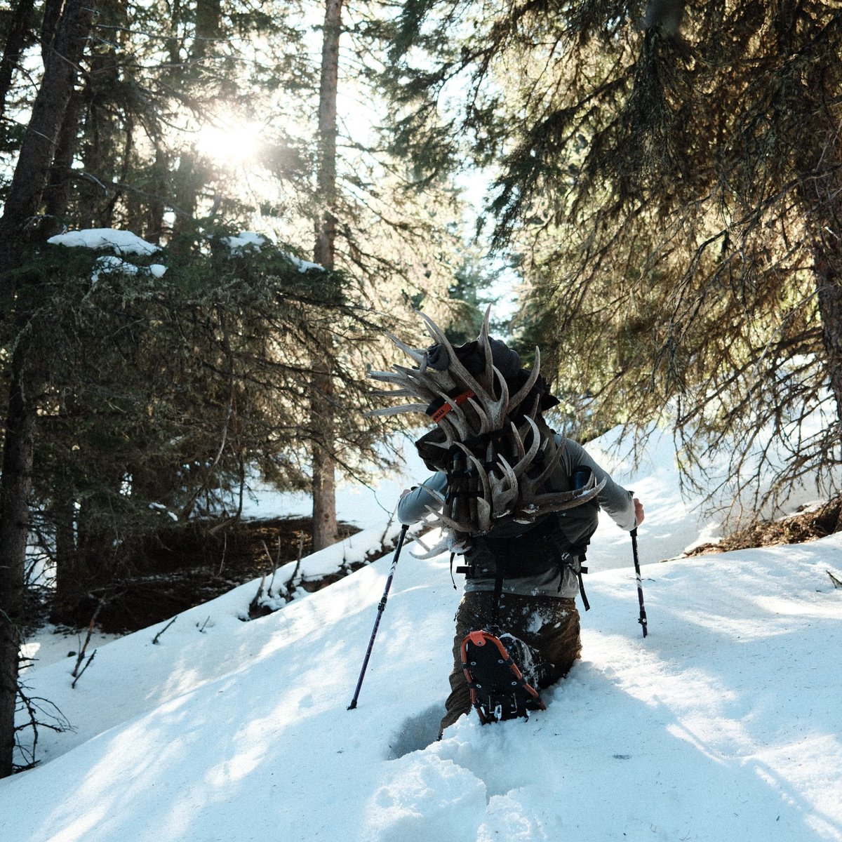 weatherbyinc's tweet image. Weekend plans:

#Weatherby