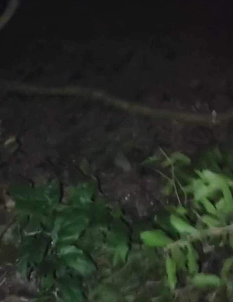 Alam Ansari tweet media