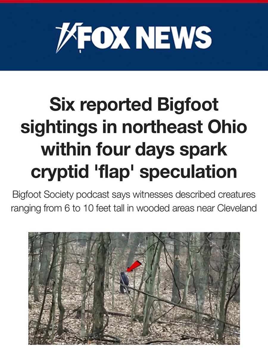 Blurry Creatures Podcast tweet media