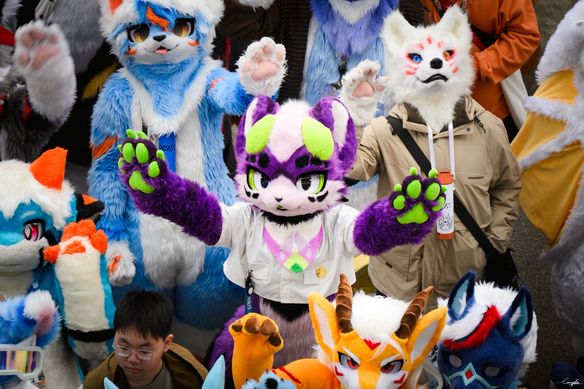 罗比哦 tweet media