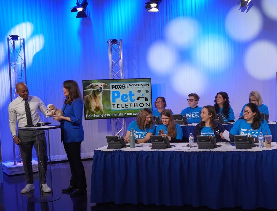 Wisconsin Humane Society tweet media