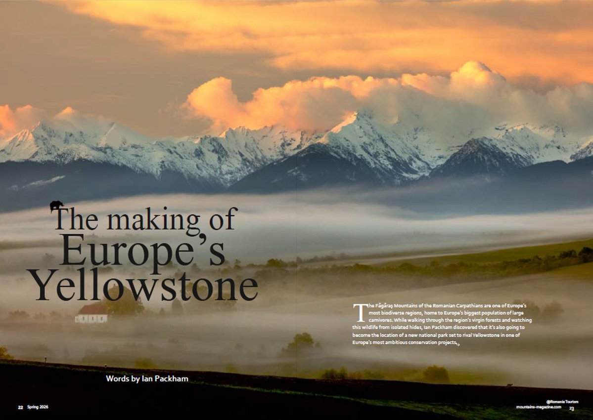 Ian M Packham tweet media