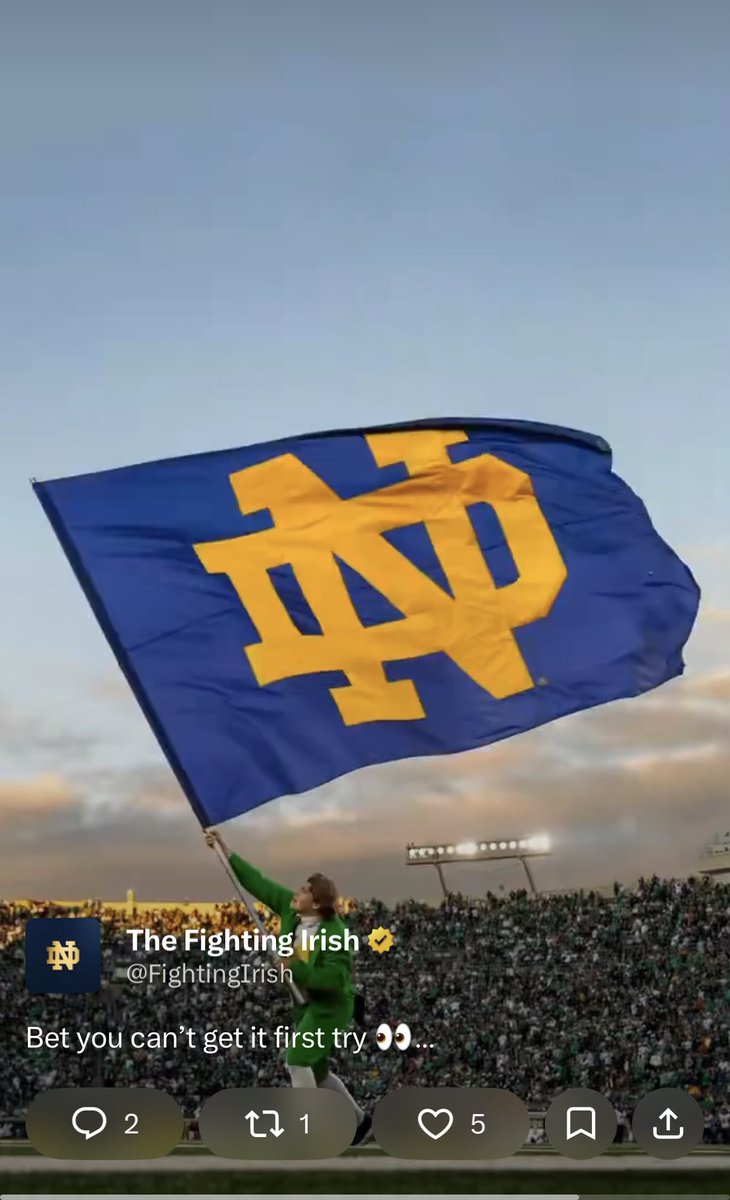 Greg Flammang tweet media