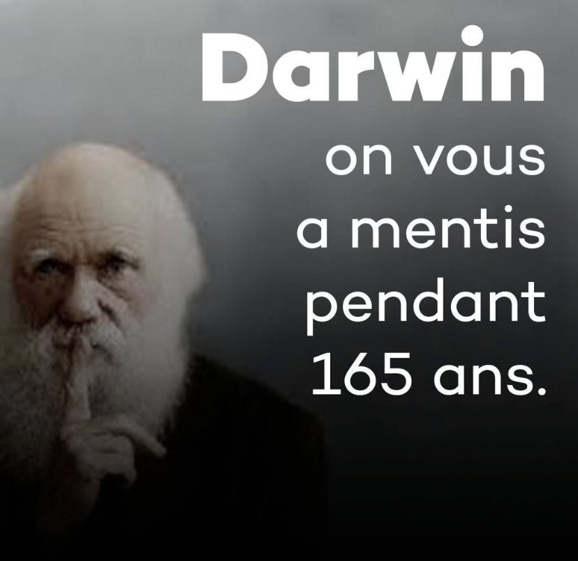 Renard Jean-Michel tweet media