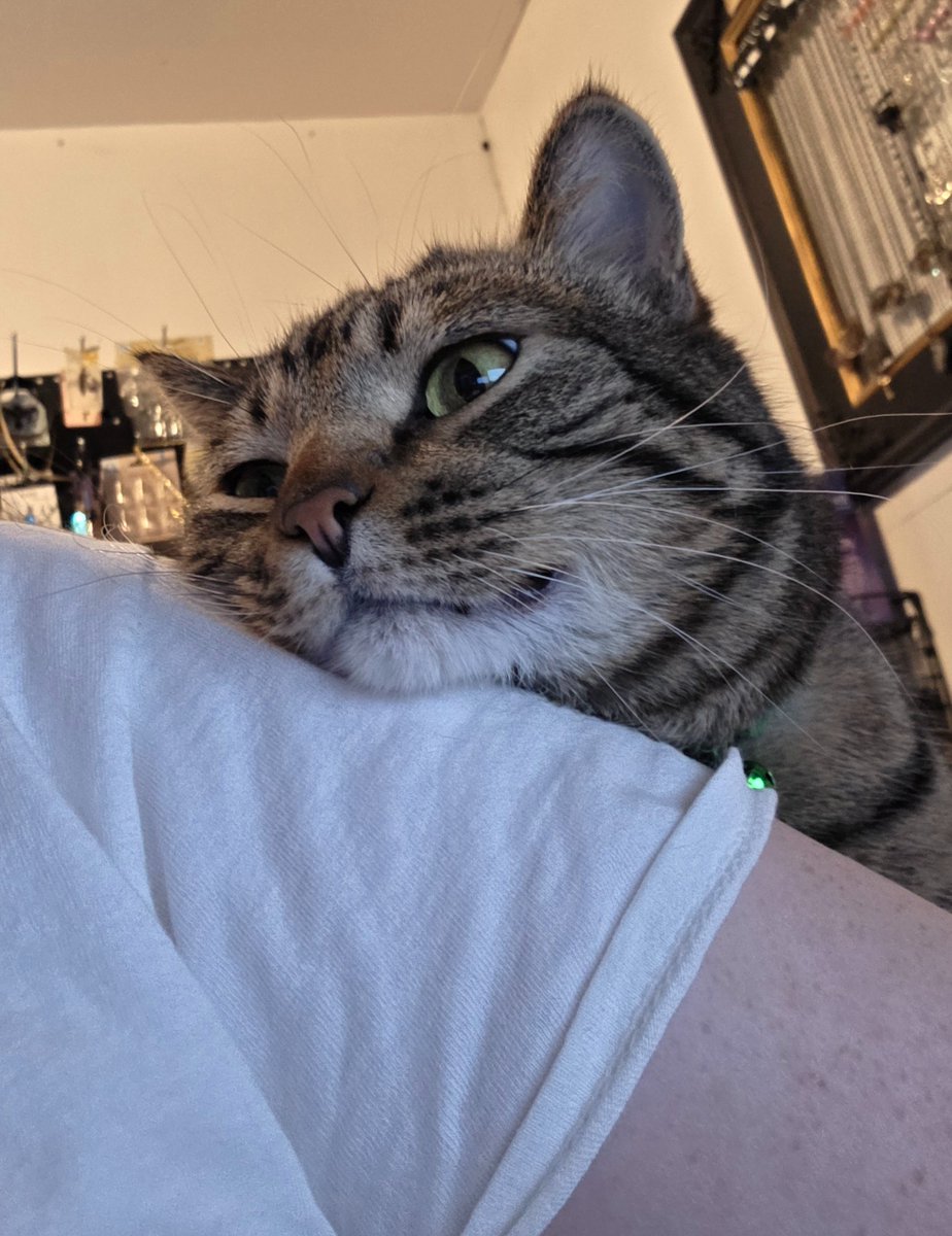 K. Aagard Writing SPFBOX Semi-Finalist tweet media