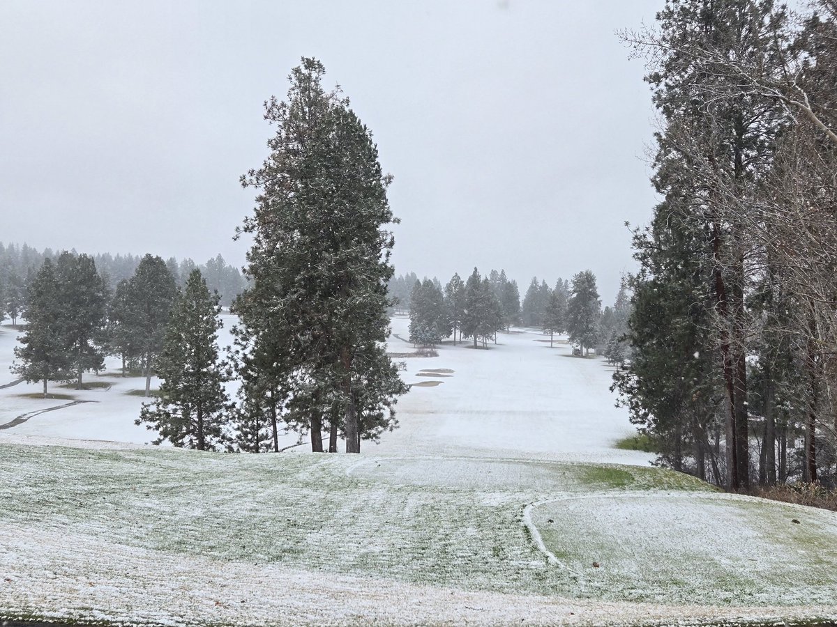 Greg Austin tweet media