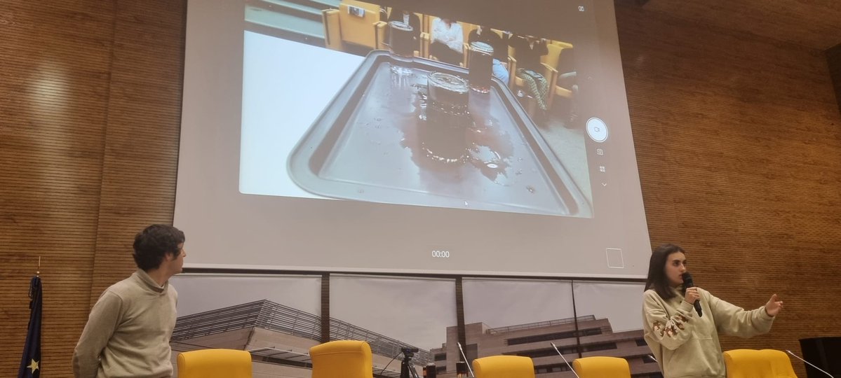 Eloísa del Pino tweet media