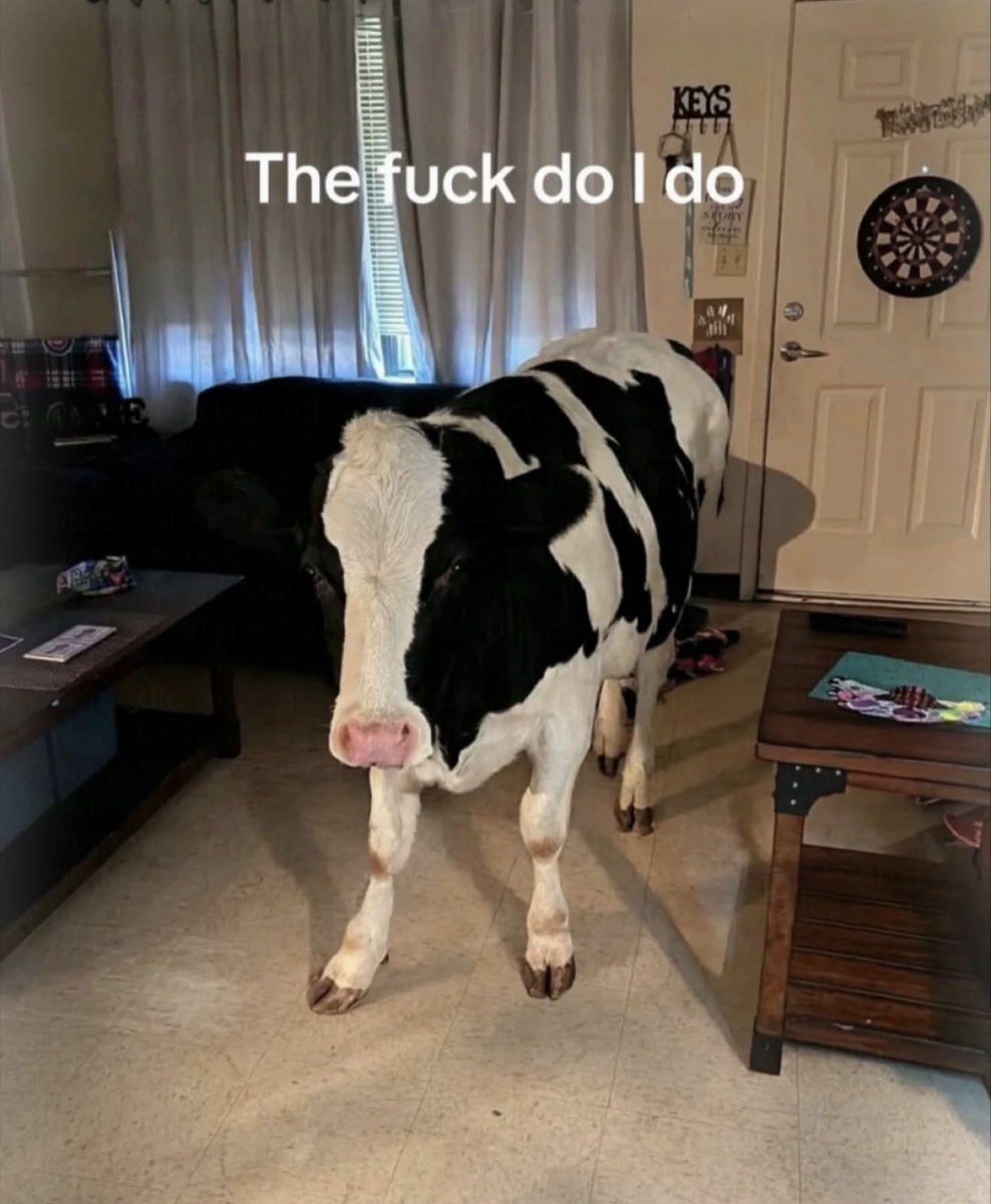 i like food tweet media