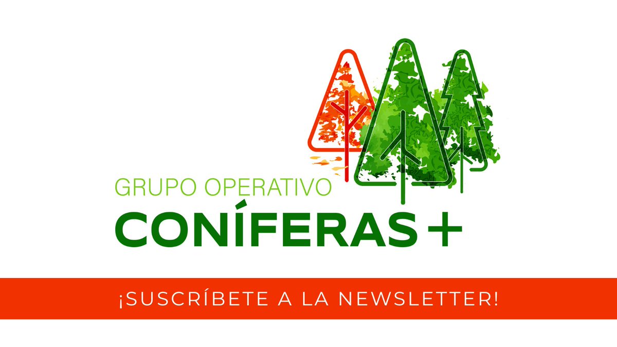 coniferas+ tweet media