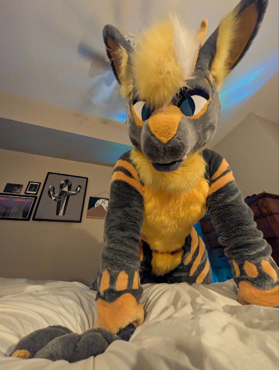 Lowly🐉🏜️ @LVFC tweet media