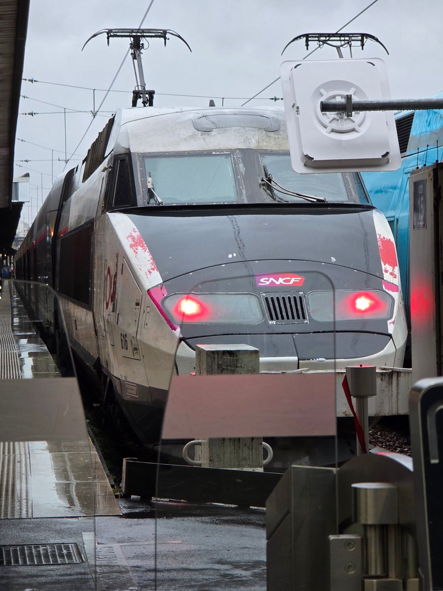 Vincent D. tweet media