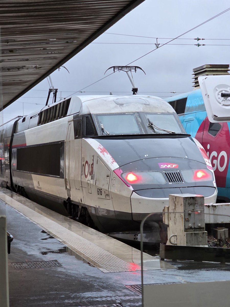 Vincent D. tweet media