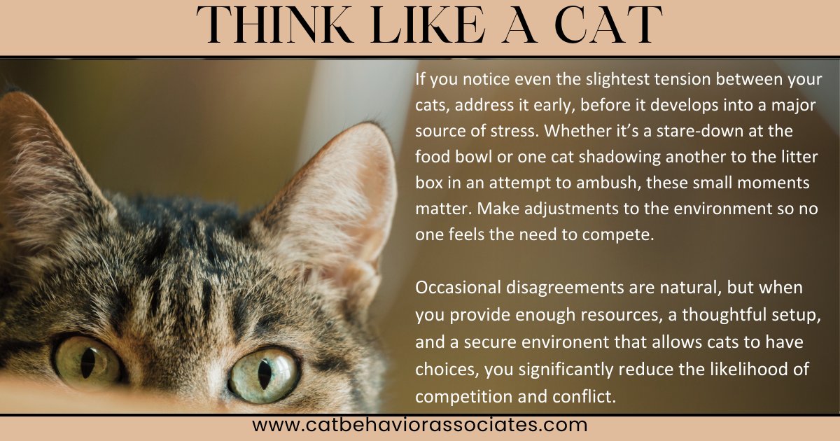 Pam Johnson-Bennett tweet media