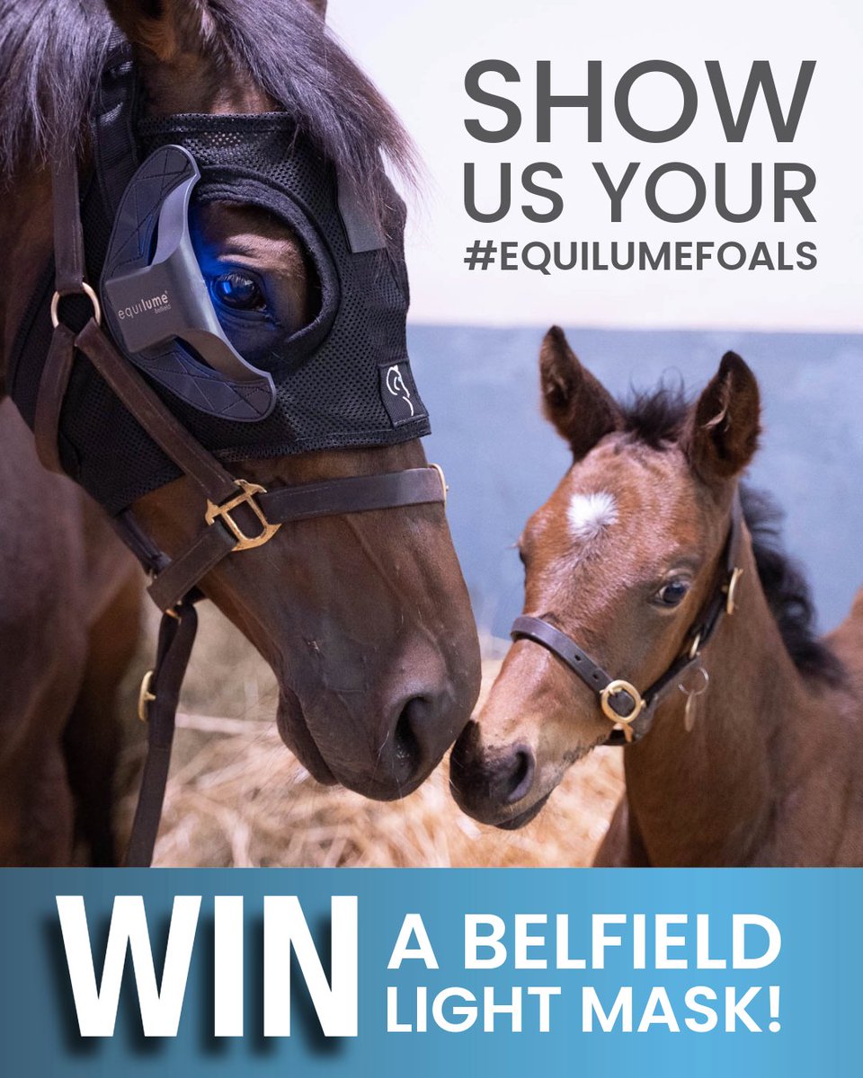 Equilume tweet media